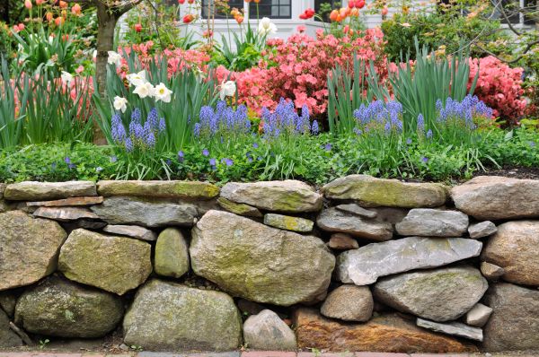 Stone Wall Hardscaping in Colorado Springs